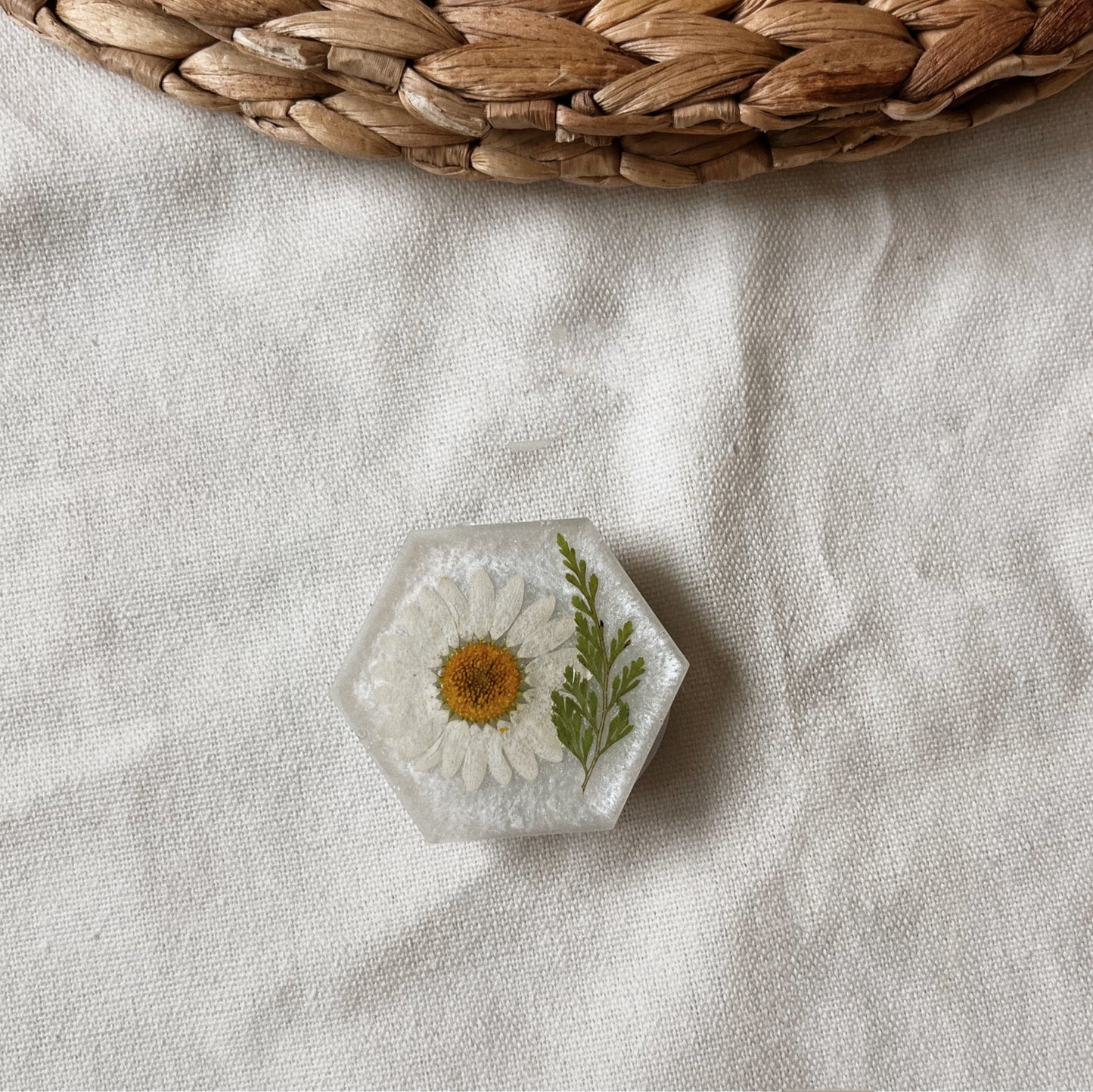 Marguerite & Feuille Verte