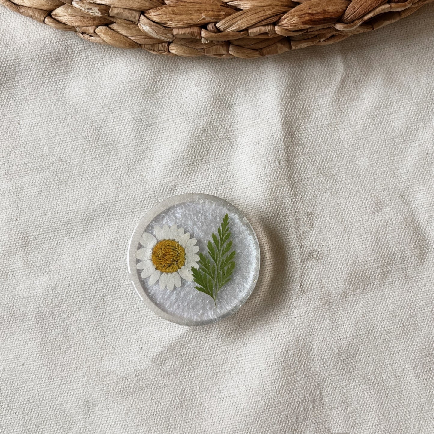 Marguerite & Feuille Verte
