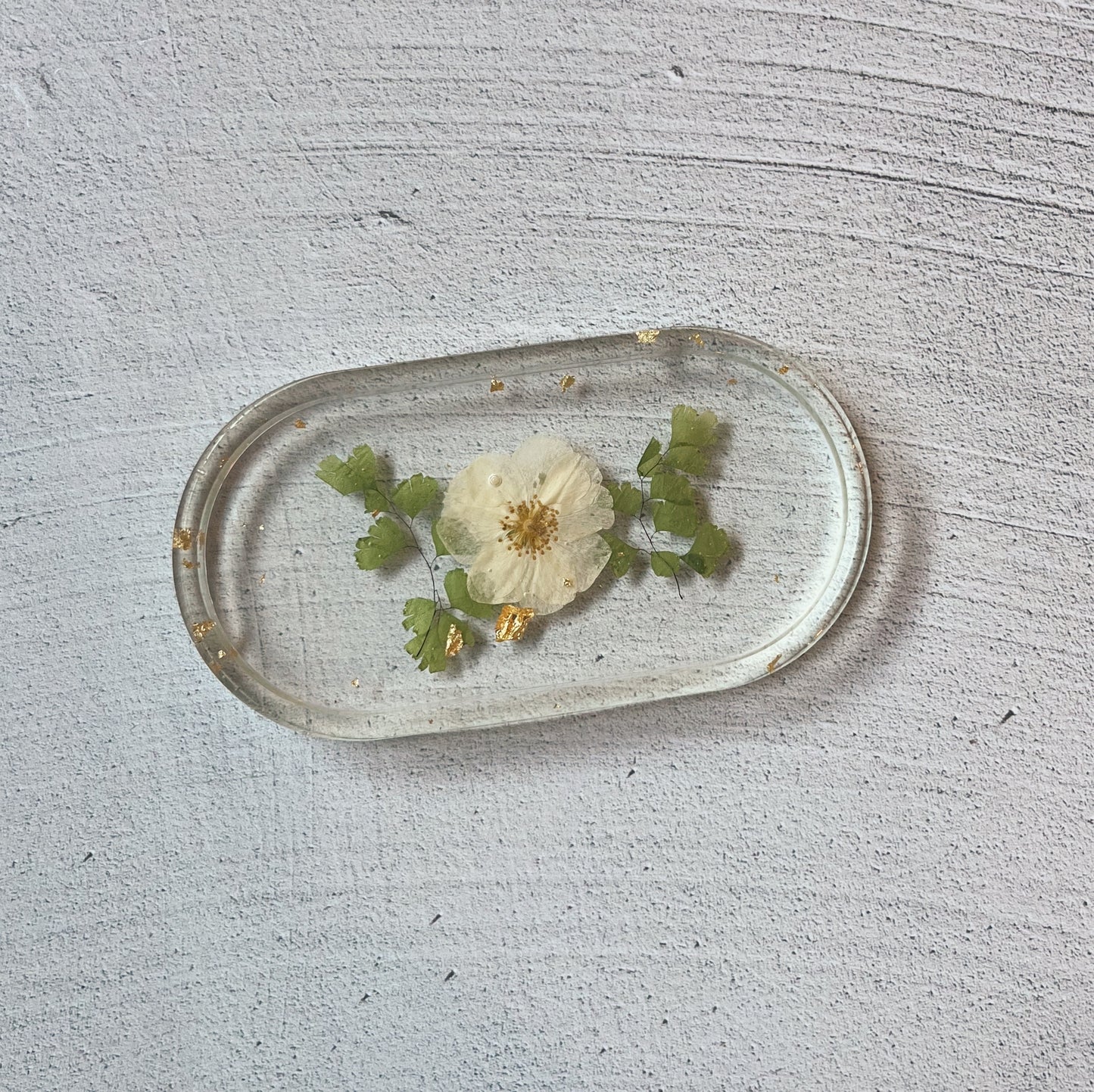 Single Tray