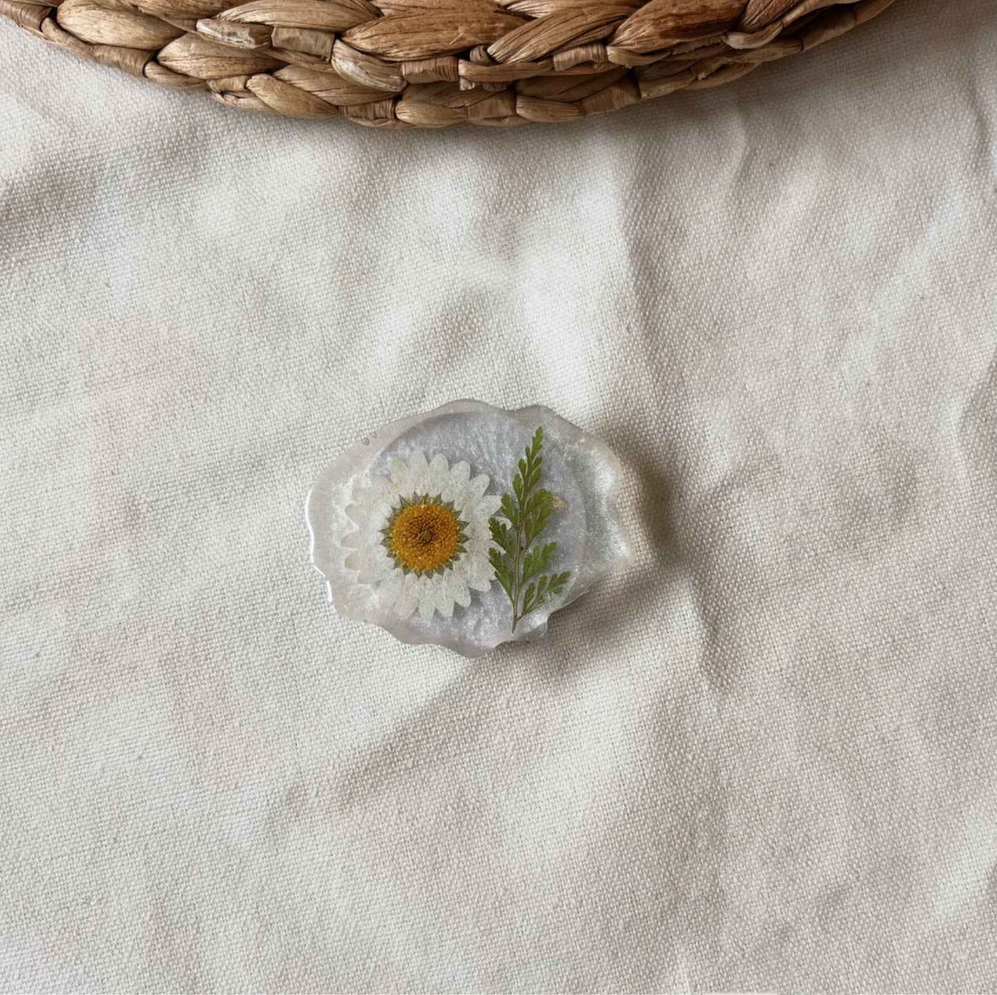 Marguerite & Feuille Verte