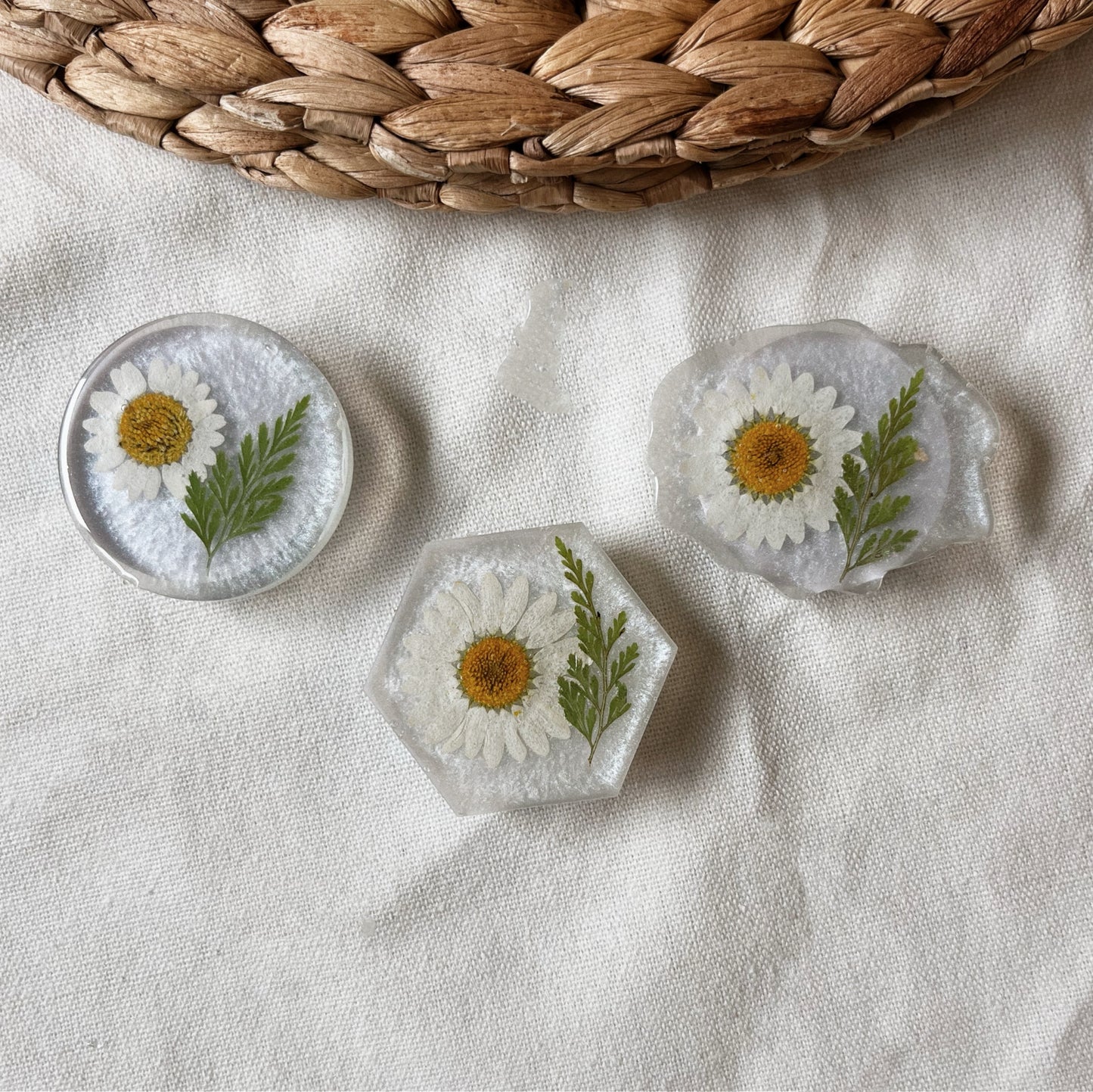 Marguerite & Feuille Verte