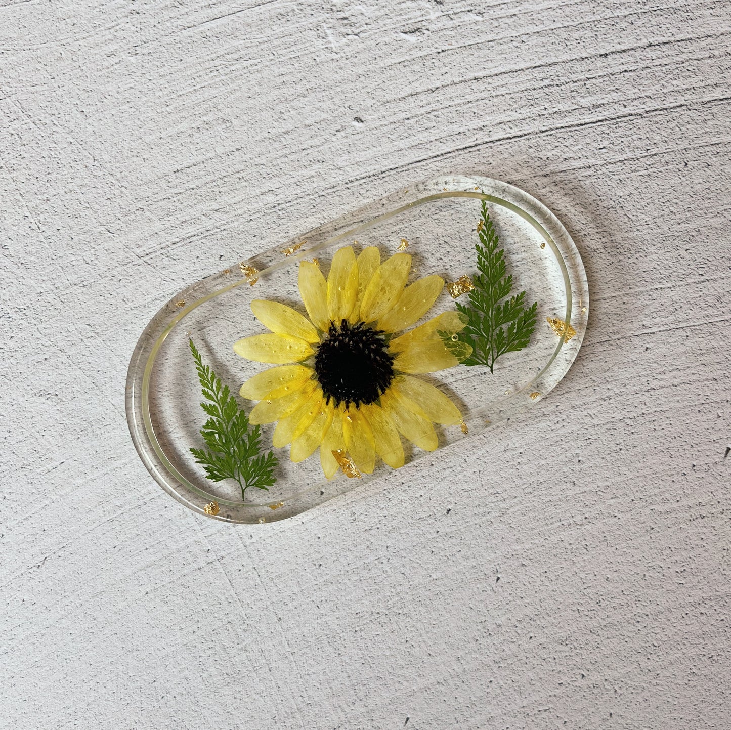 Single Tray