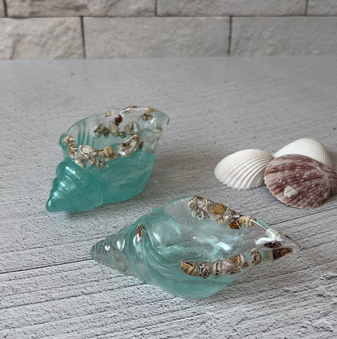 Coquillage