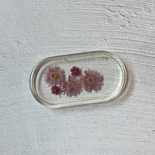 Single Tray