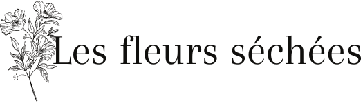 Les Fleurs Séchées