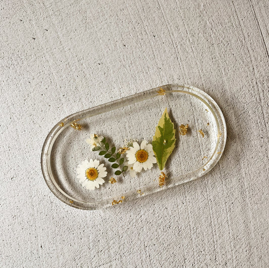 Single Tray